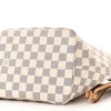 Louis Vuitton Braided Neverfull MM Damier Azur Canvas Orange Interior